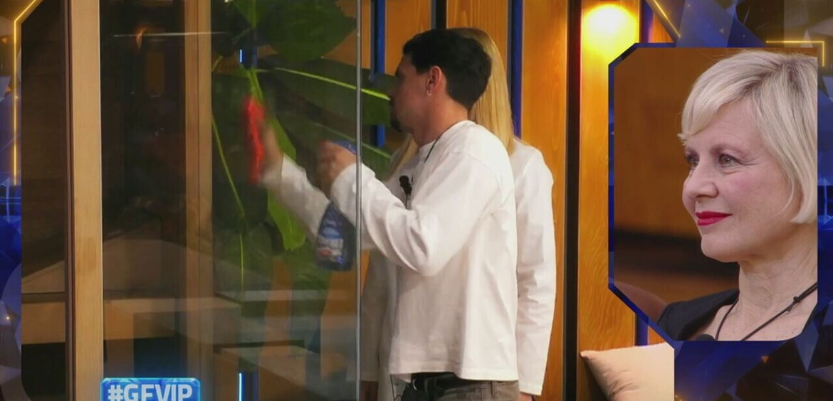 Sfida di pulizie e Casa splendente&agrave;